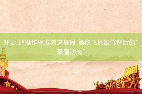 开云 把操作标准刻进身段 揭秘飞机维修背后的“豪厘功夫”